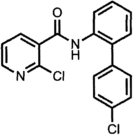 Bactericidal composition and application thereof