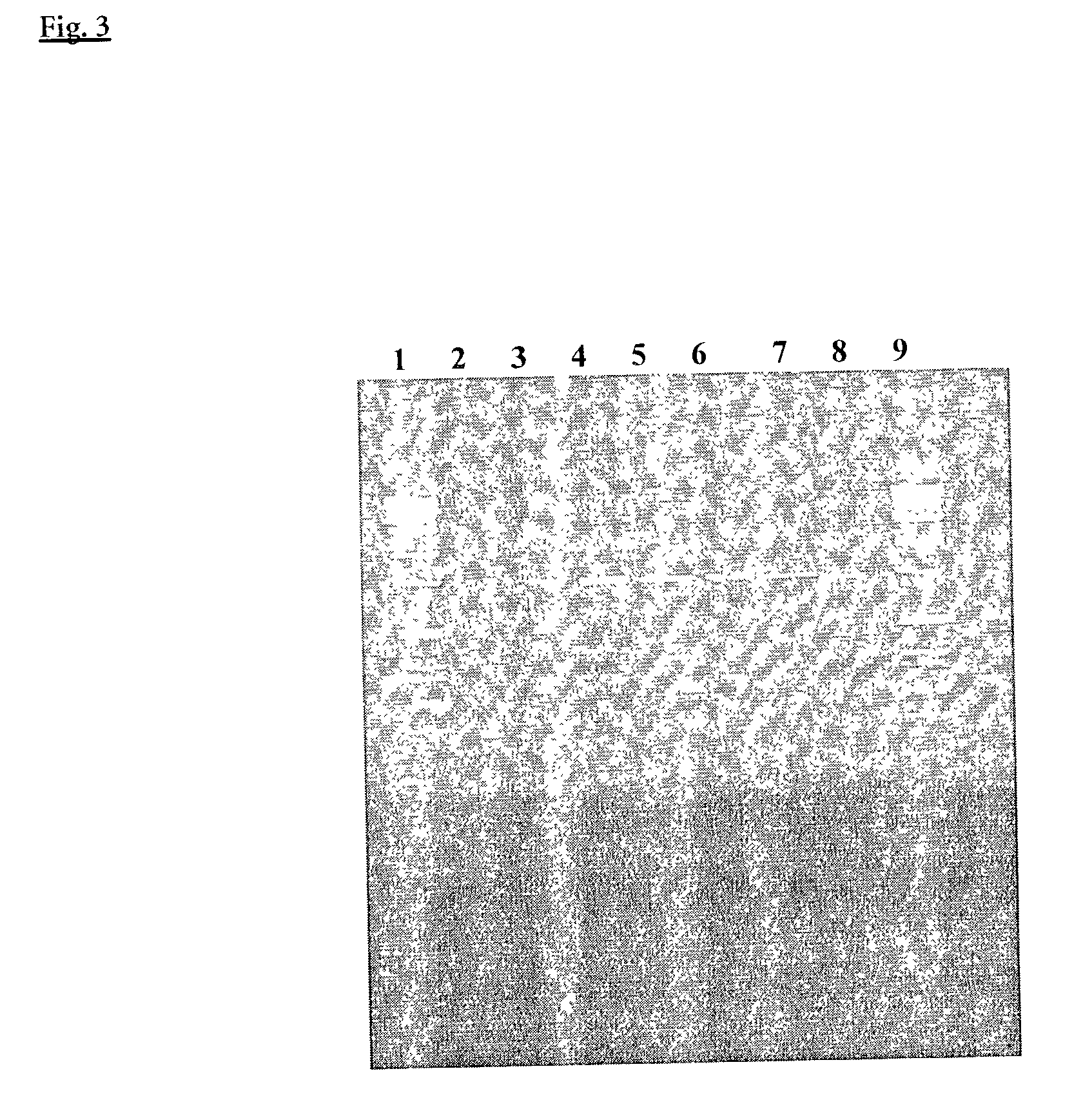 Composition and method for hot start nucleic acid amplification