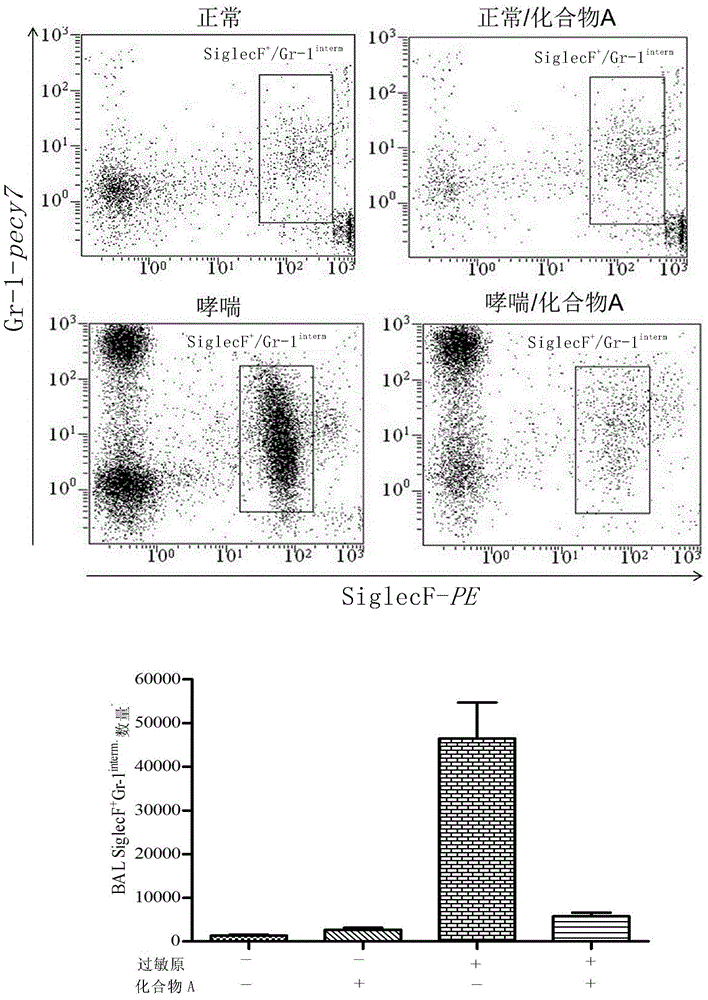 Application of sulfonamide compound in chronic airway inflammatory diseases