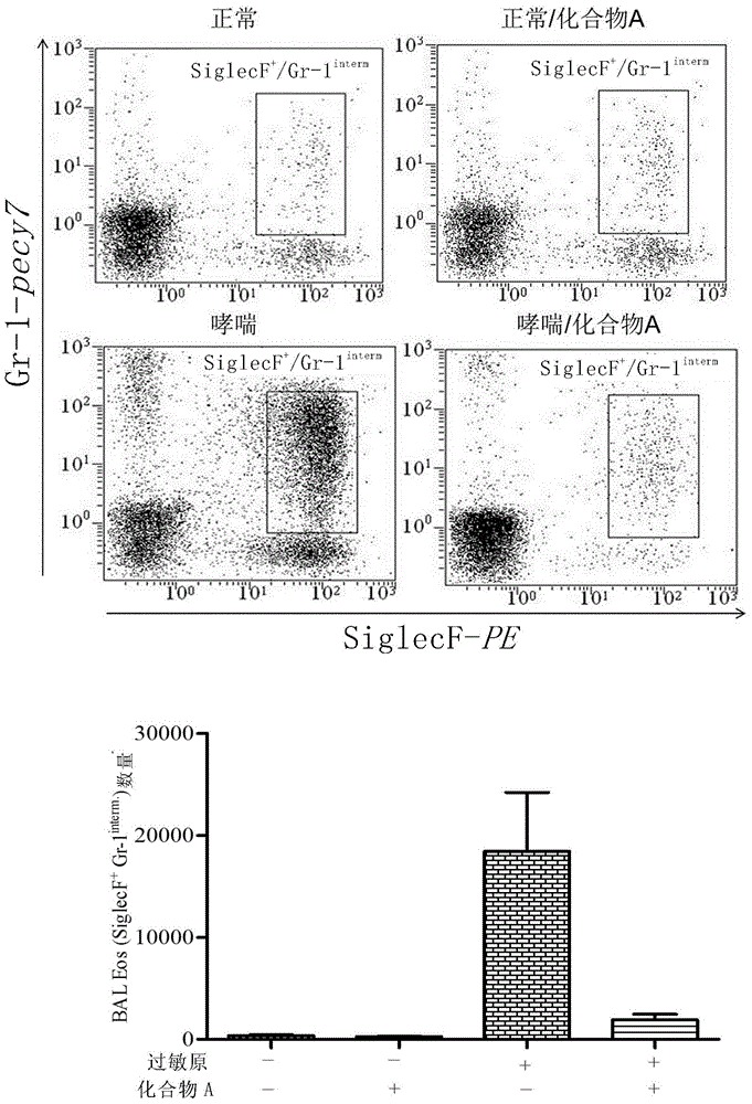 Application of sulfonamide compound in chronic airway inflammatory diseases