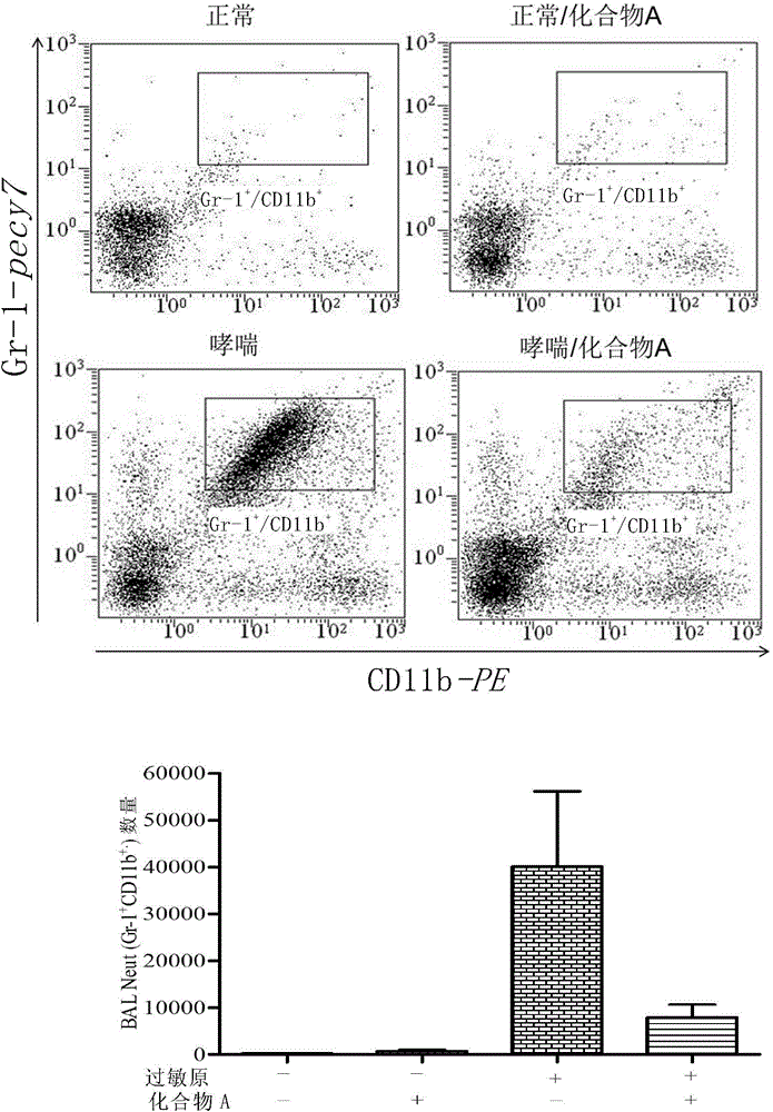 Application of sulfonamide compound in chronic airway inflammatory diseases