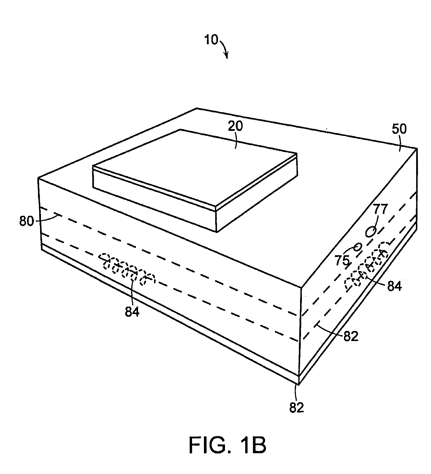 Ruggedized apparatus for analysis of nucleic acid and proteins
