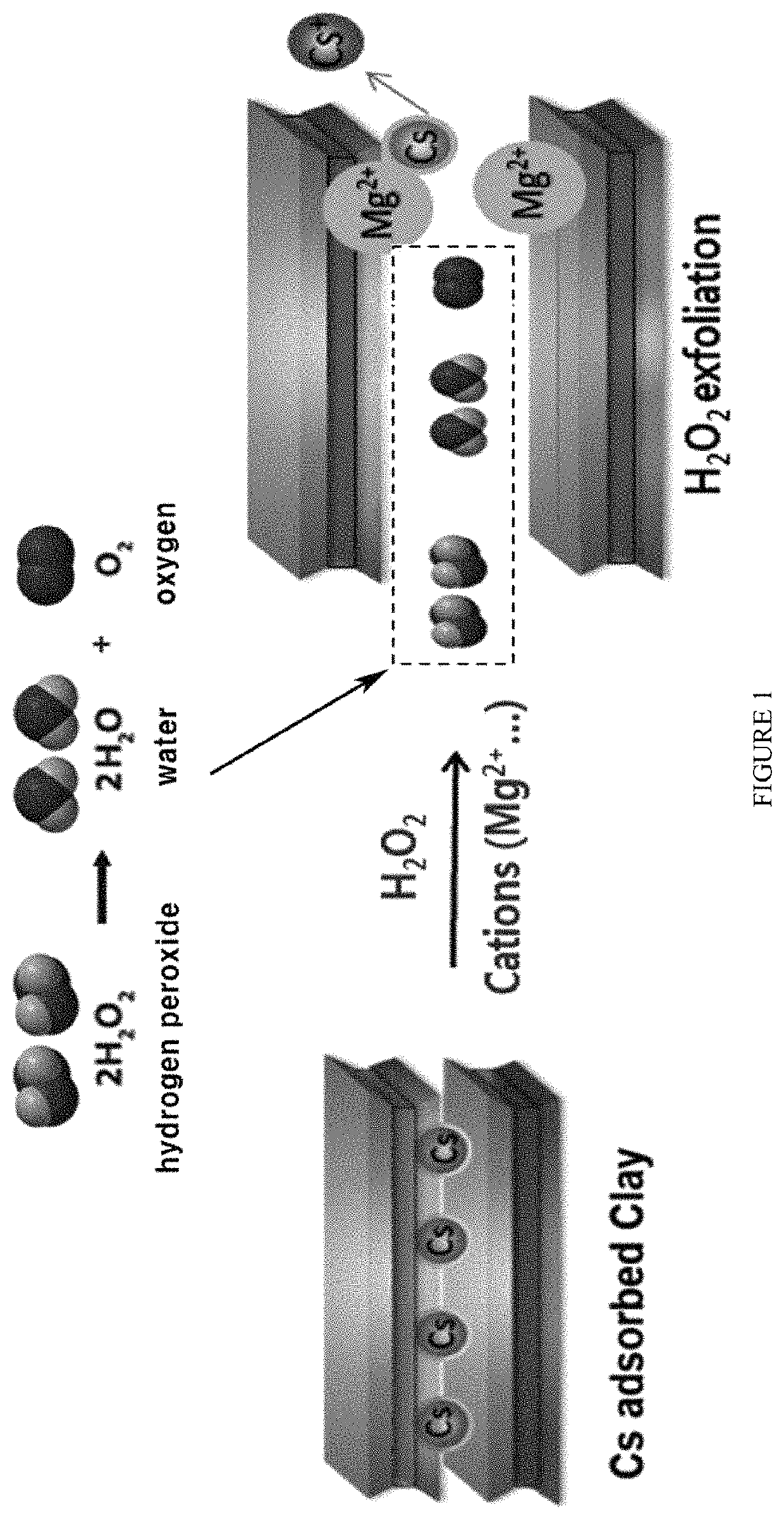 Method for removing cesium in clay mineral using hydrogen peroxide