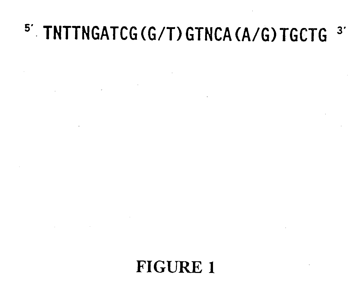 Plant retroviral polynucleotides and methods for use thereof
