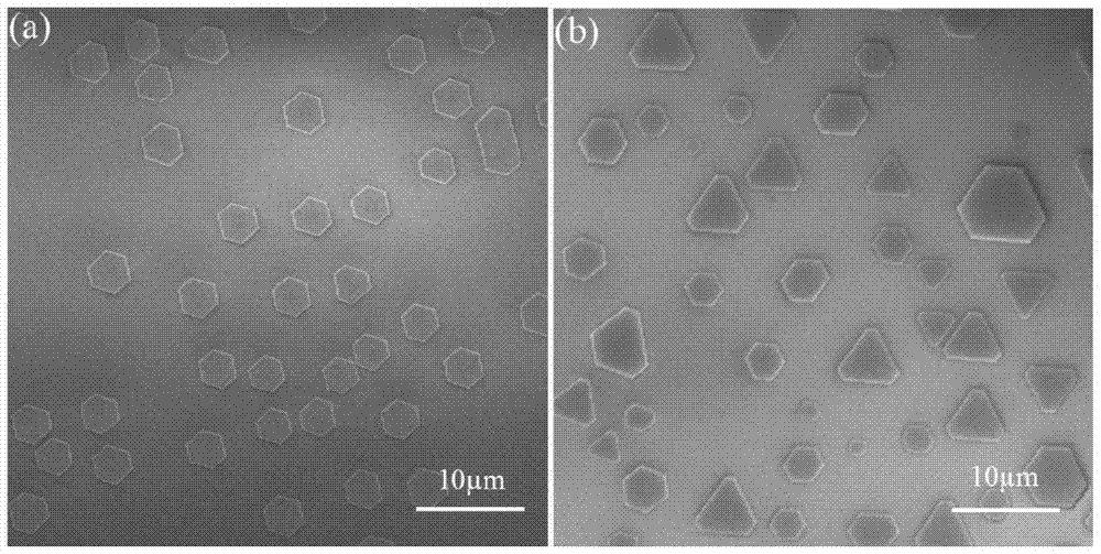 A kind of preparation method of cadmium selenide or cadmium sulfide two-dimensional single crystal nanosheet