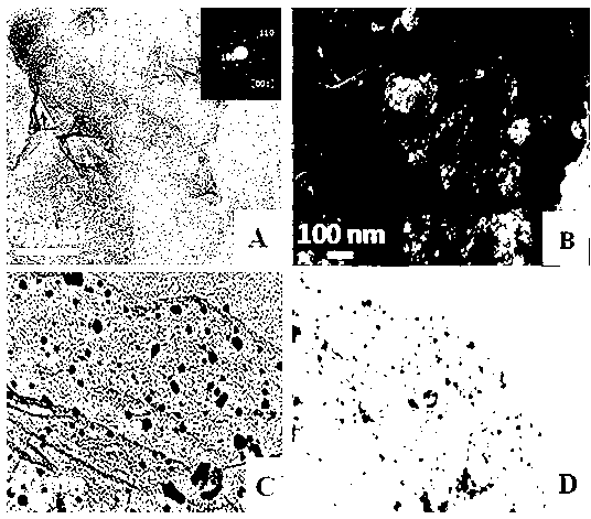 Preparation method and use of functional graphene-loaded palladium nanoparticle composite material