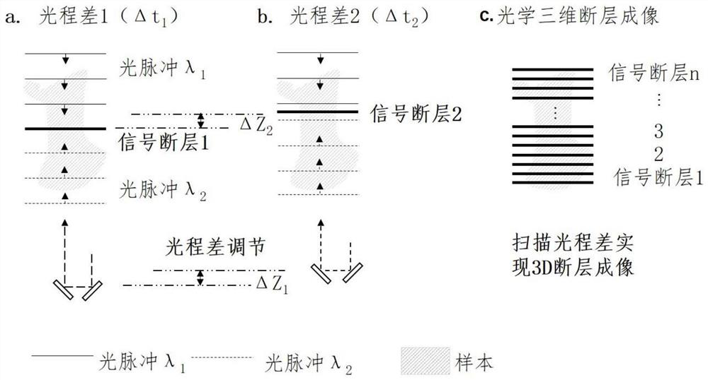 Realizing large-volume and high-resolution temporal pulse light slice tomography method and system