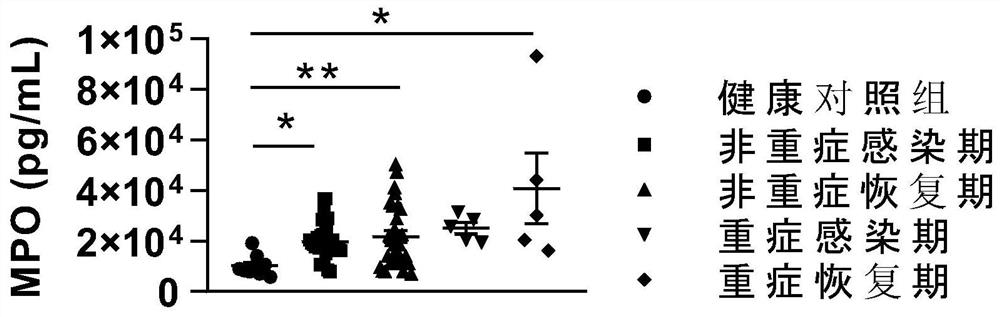 Blood polypeptide group COVID-19 biomarker