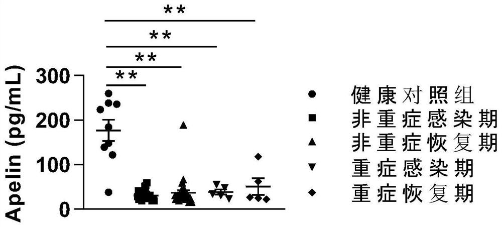 Blood polypeptide group COVID-19 biomarker