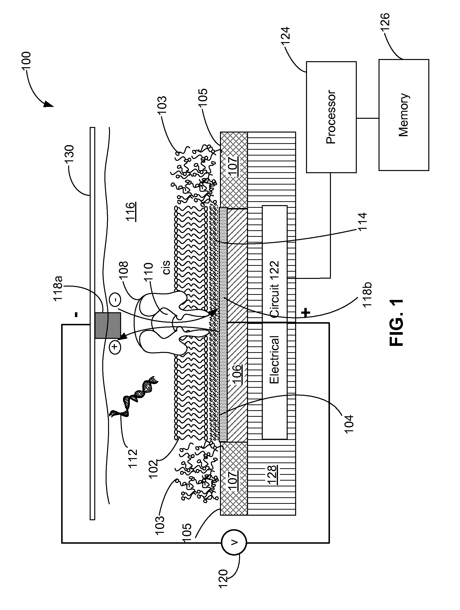 Systems and methods for characterizing a molecule