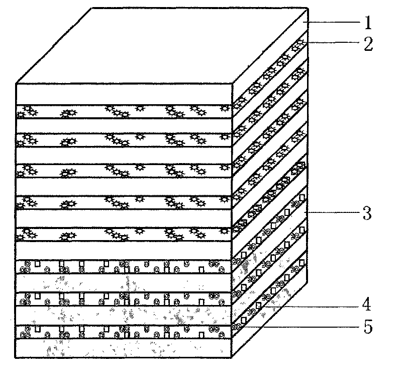 Artificial dura mater with bioactivity and preparation method thereof