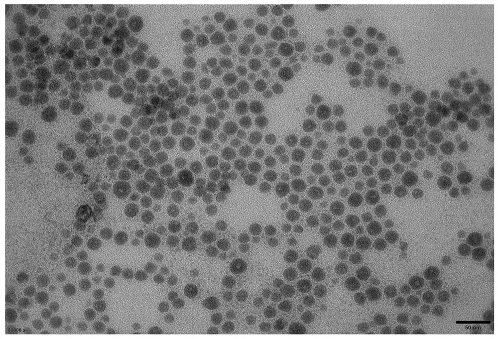 Manganese-containing micro-precipitation liposome for immunotherapy and preparation method thereof