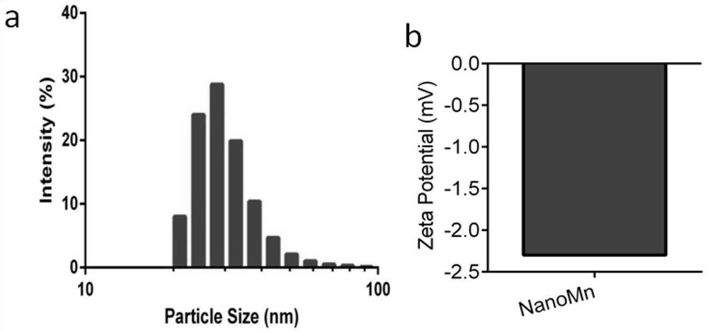 Manganese-containing micro-precipitation liposome for immunotherapy and preparation method thereof