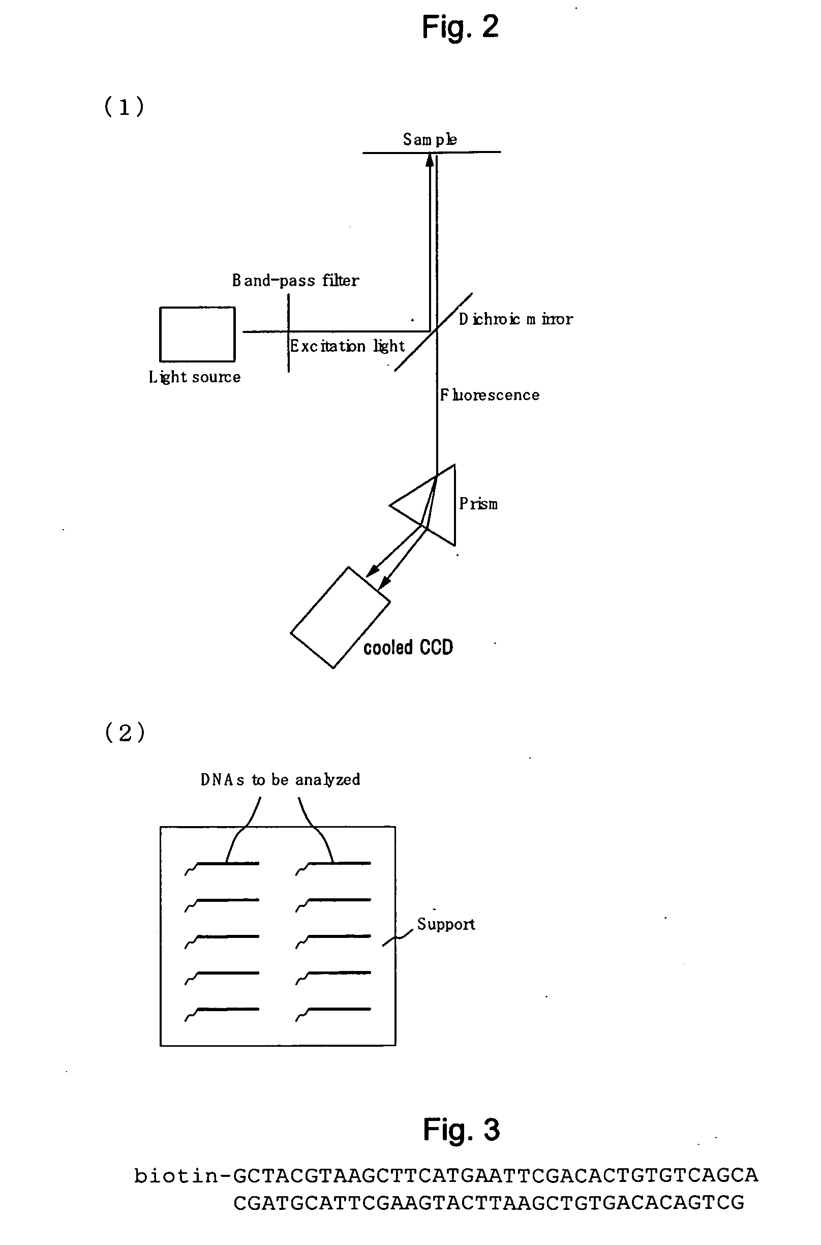 Method for determining base sequence of DNA