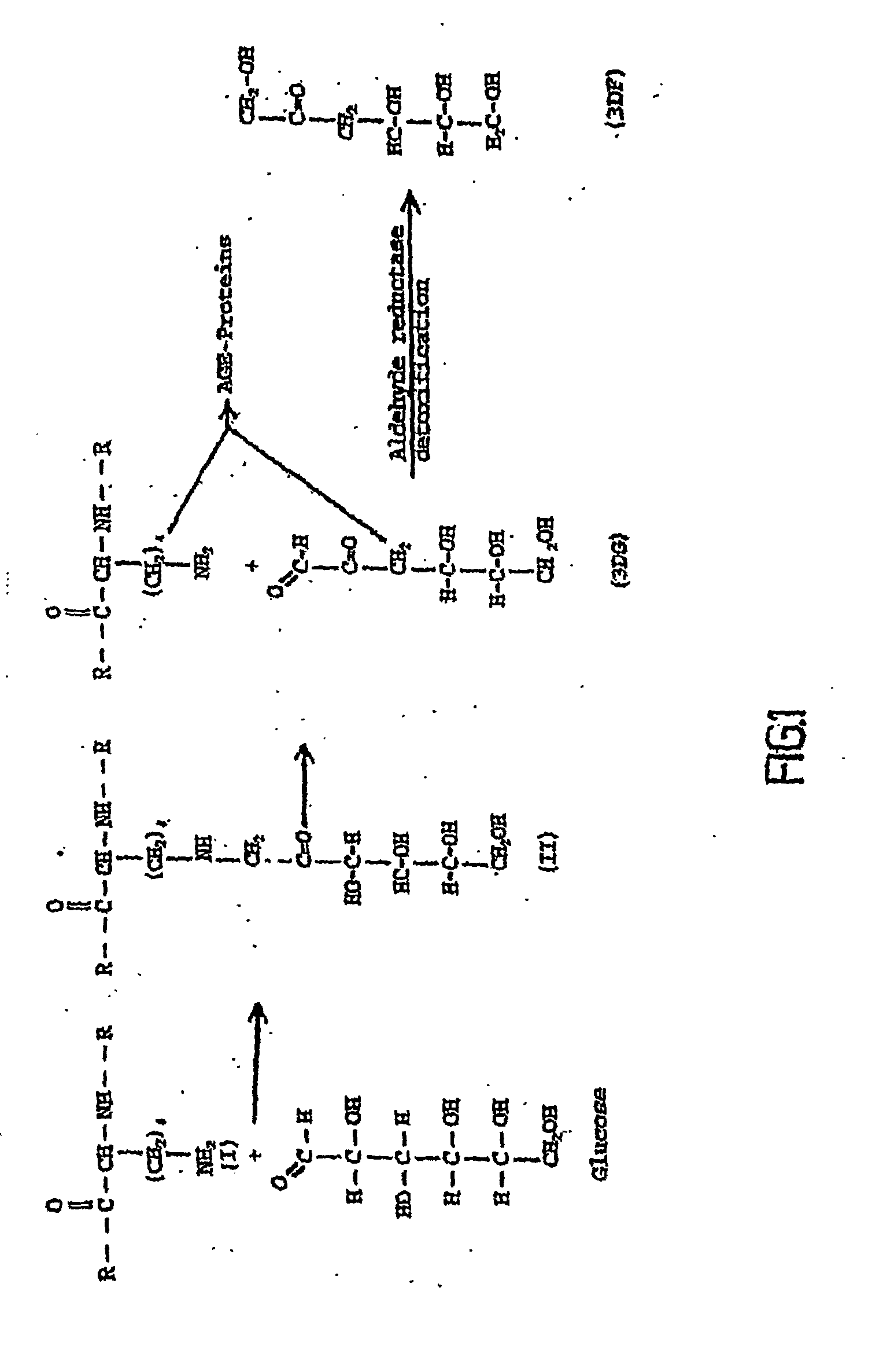 Compositions and Methods Related to Fructosamine-3-Kinase Inhibitors
