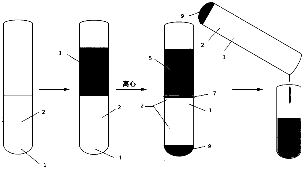 Preparation method of separation tube for separating tumor cells
