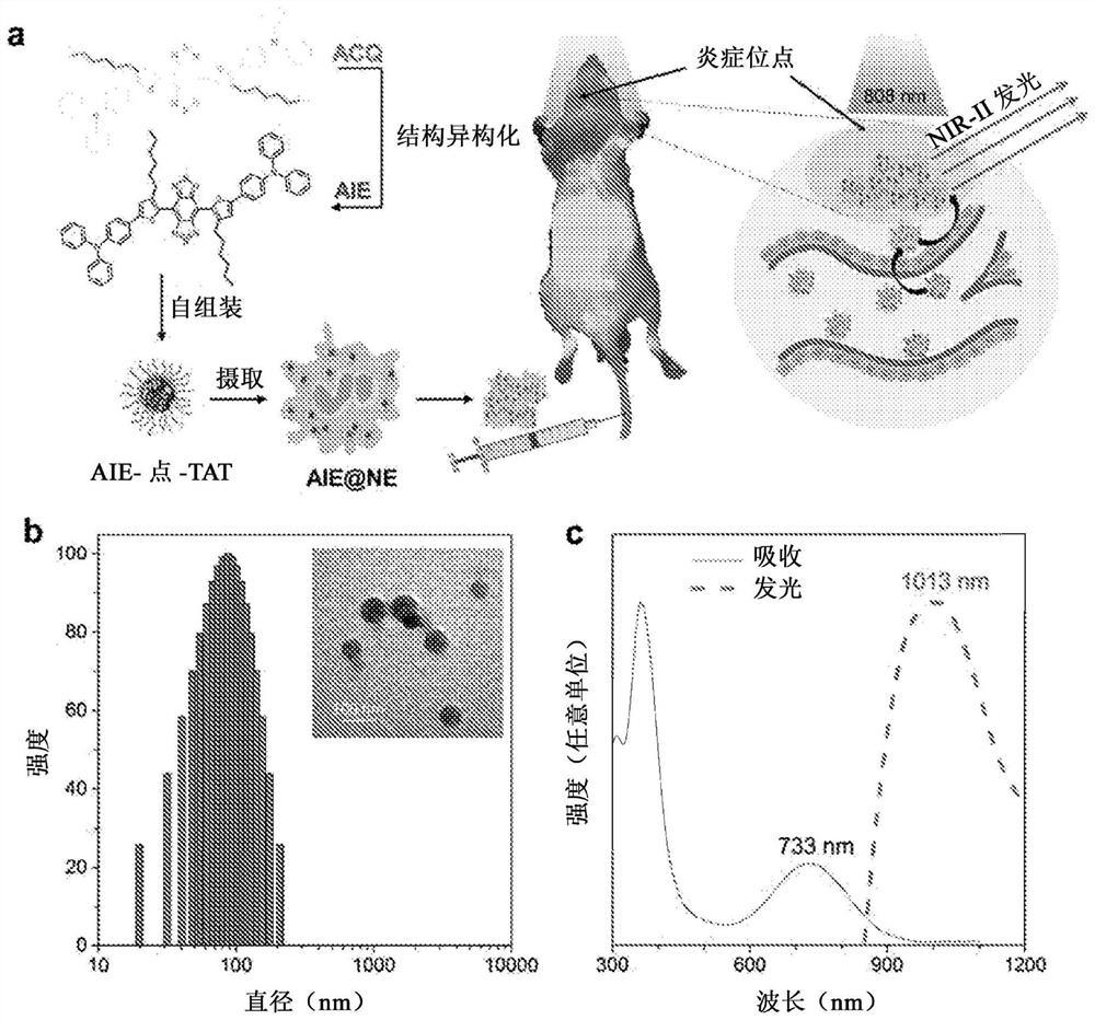 Ultrabright nir-ii aiegen for bioimaging