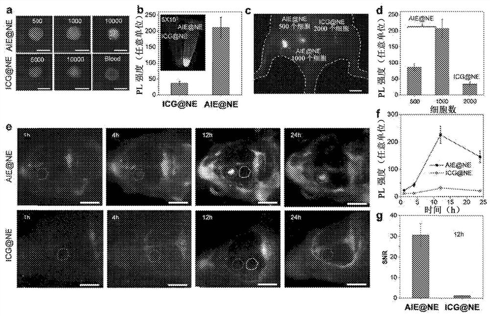 Ultrabright nir-ii aiegen for bioimaging