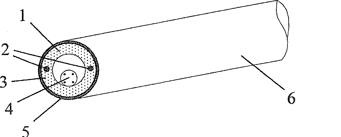 Leakage coaxial optical fiber cable with double-steel-wire reinforced inner conductor and method for making same