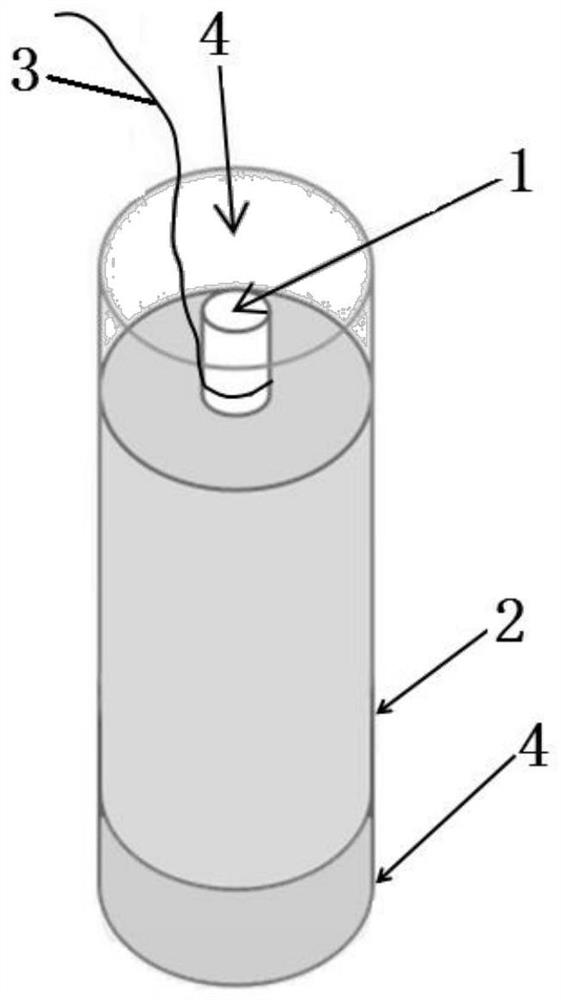 Reinforced concrete sample and preparation method and application thereof