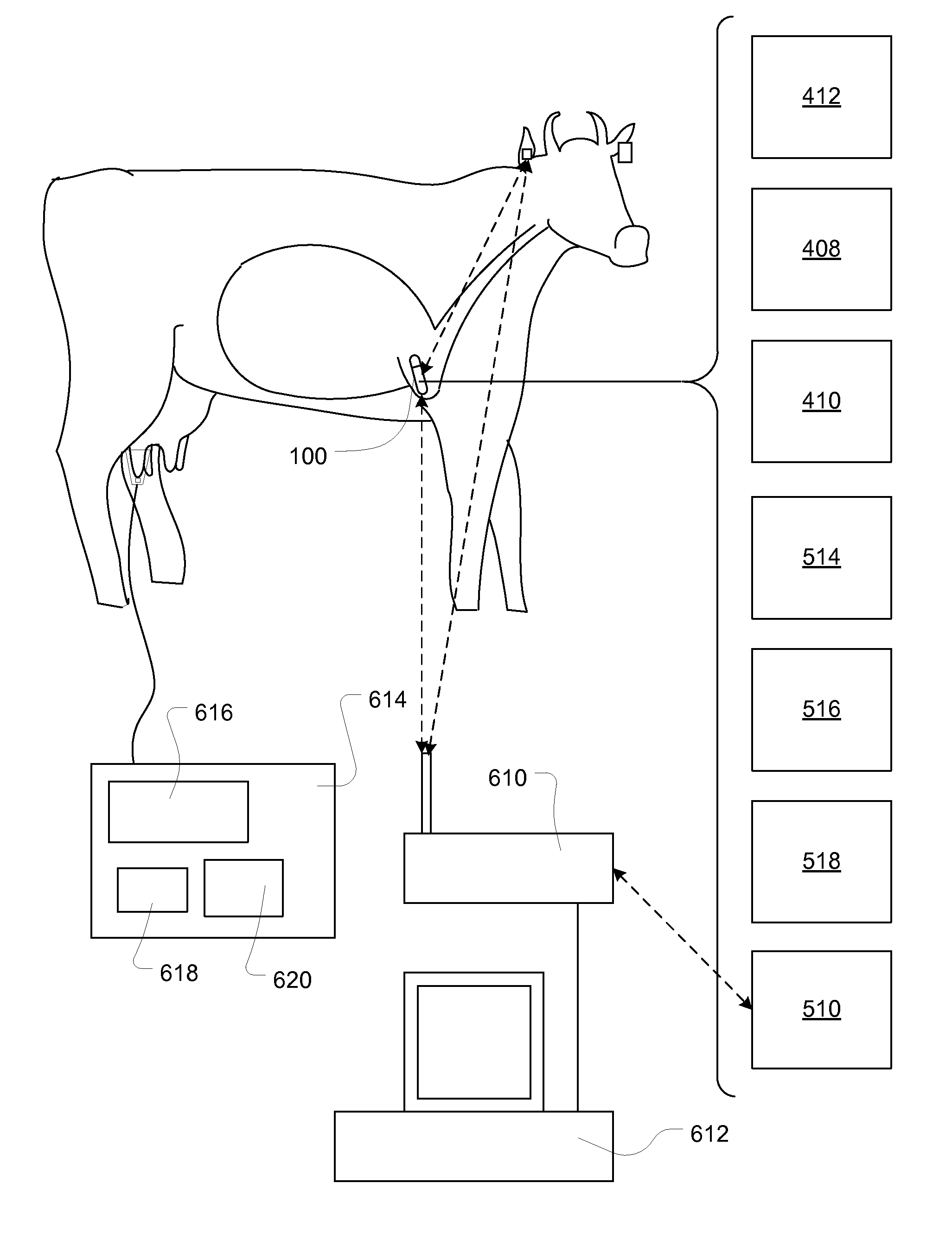 Apparatus, system, and method for animal monitor