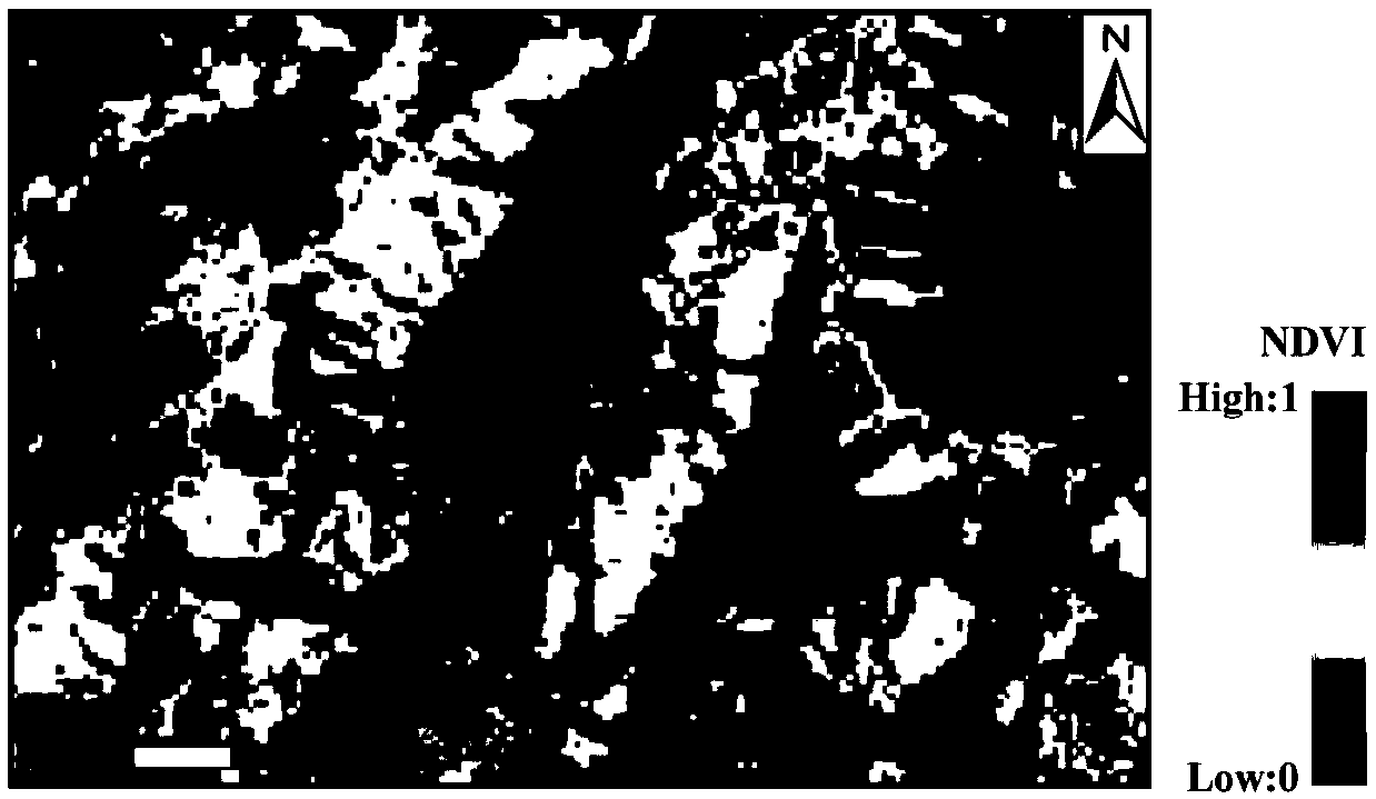 NDVI shadow influence removal method based on remote sensing multispectral images