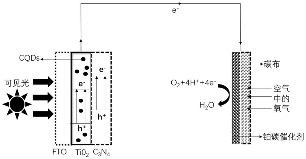 Photoelectric catalytic reactor