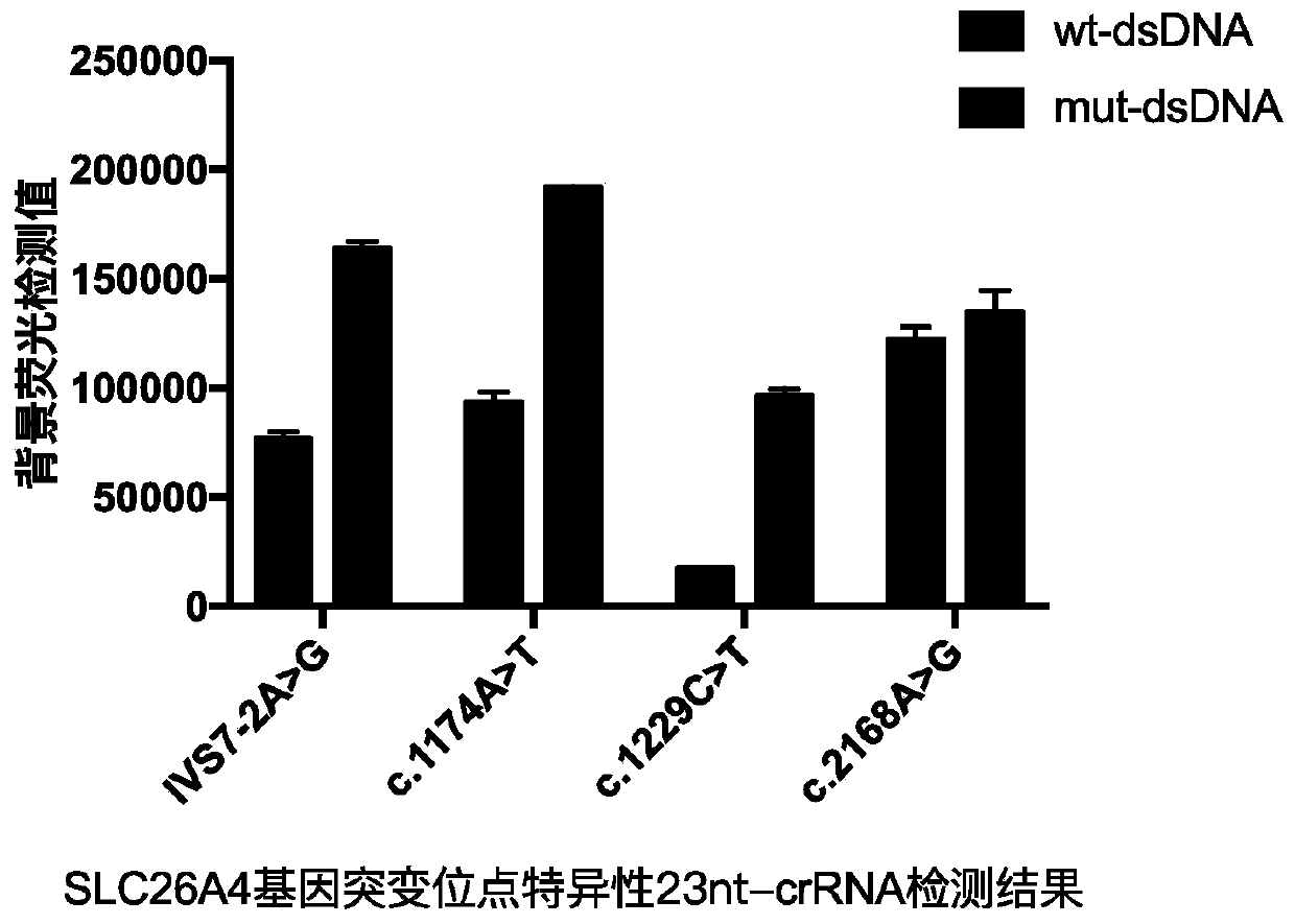 Cpf1 kit for rapid detection of hereditary deafness pathogenic gene SLC26A4 mutation and detection method thereof