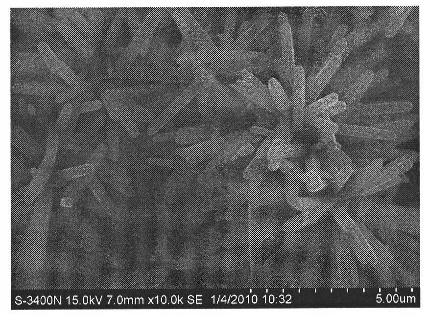 Titanium dioxide nanoflower film photoanode and preparation method thereof