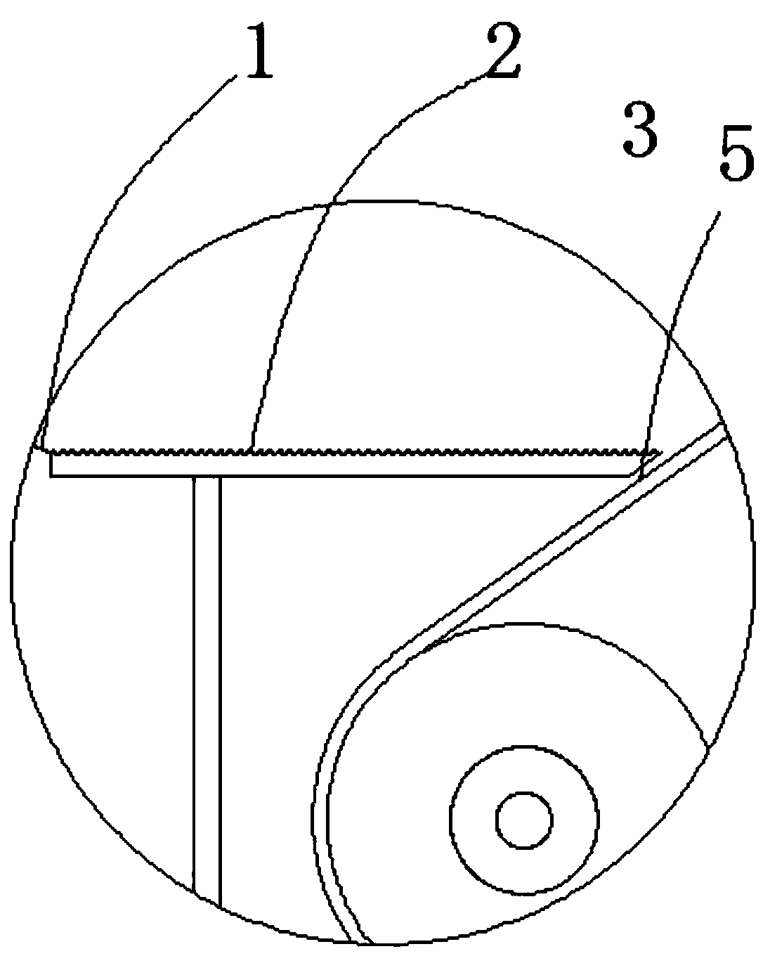 Conveying device facilitating tail removing of margarya melanoides