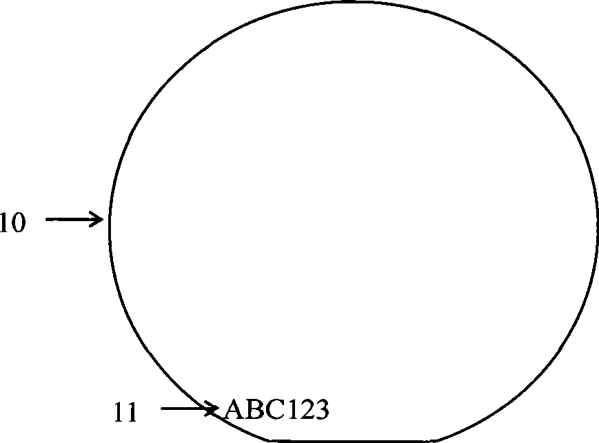 Silicon chip mark, implementing and reading method thereof