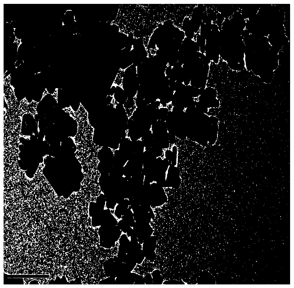 Preparation method of titanium dioxide catalyst selectively deposited with platinum-copper alloy particles