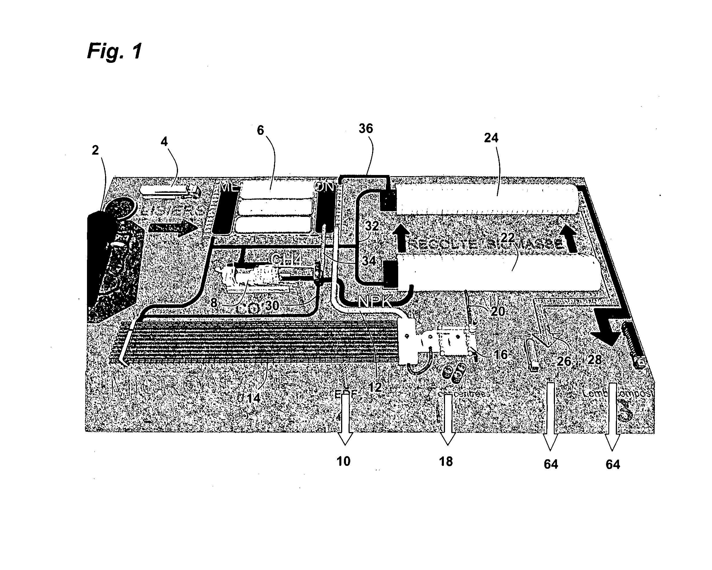 Facility for treating and recycling animal waste comprising methanisation, cultivation of microalgae and macrophytes, and vermiculture