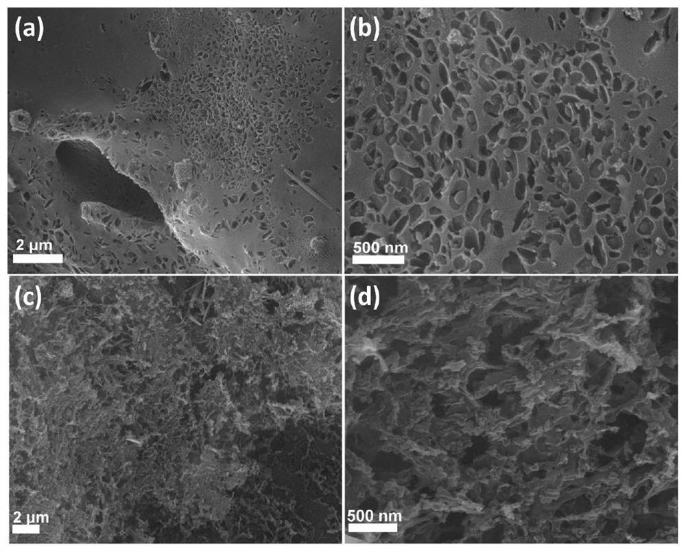 Polyacid functionalized nitrogen-rich porous carbon as well as preparation method and application thereof