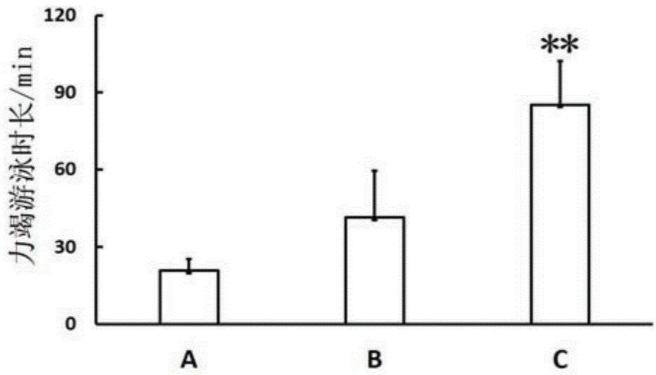 Processing method of maca-flavored yogurt