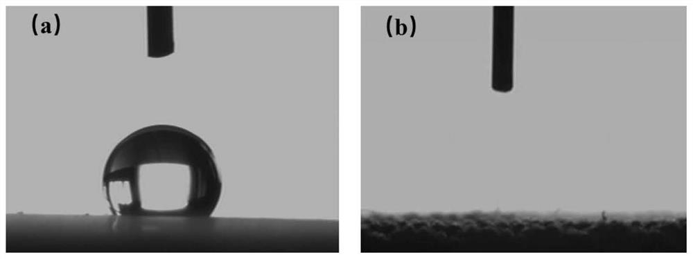 Janus fabric membrane based on polylactic acid and preparation method and application of Janus fabric membrane