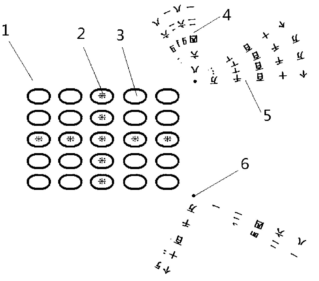 Spring garden type calculation and registration demonstrator