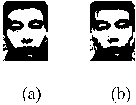 Multi-angle mutual transformation method for facial image