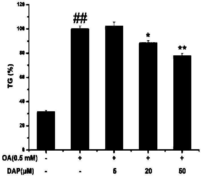 Application of daphnetin in preparation of drugs to treat non-alcoholic fatty liver disease