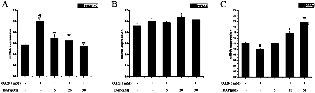 Application of daphnetin in preparation of drugs to treat non-alcoholic fatty liver disease