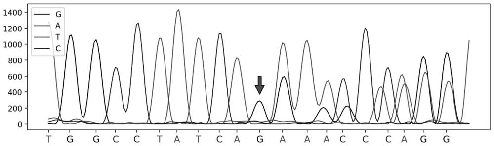 Keshan disease gene screening kit