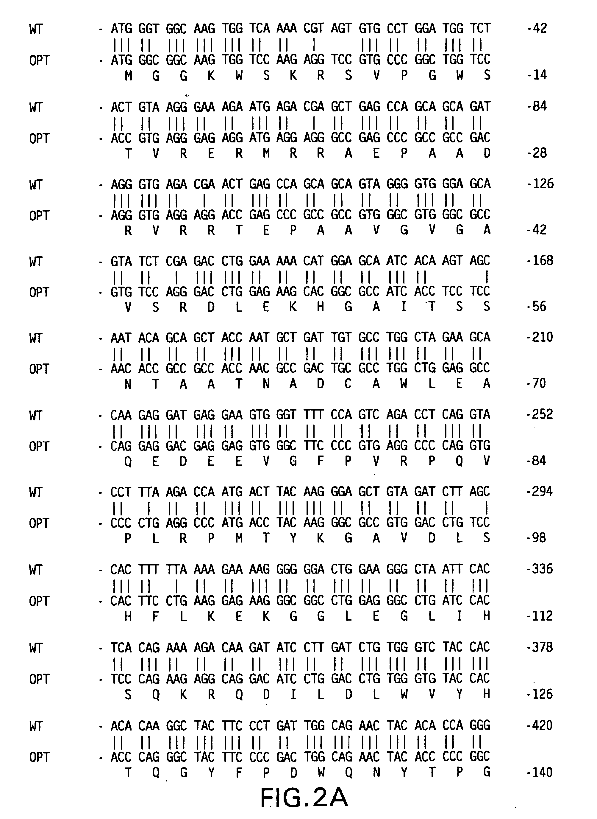 Polynucleotide vaccines expressing codon optimized HIV-1 Nef and modified HIV-1 Nef