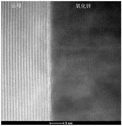 A kind of growth method of zno single crystal nano sheet