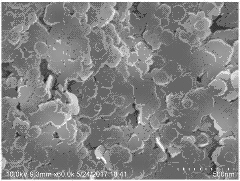 Regulating method of nano layered MgFe hydrotalcite grain growth process