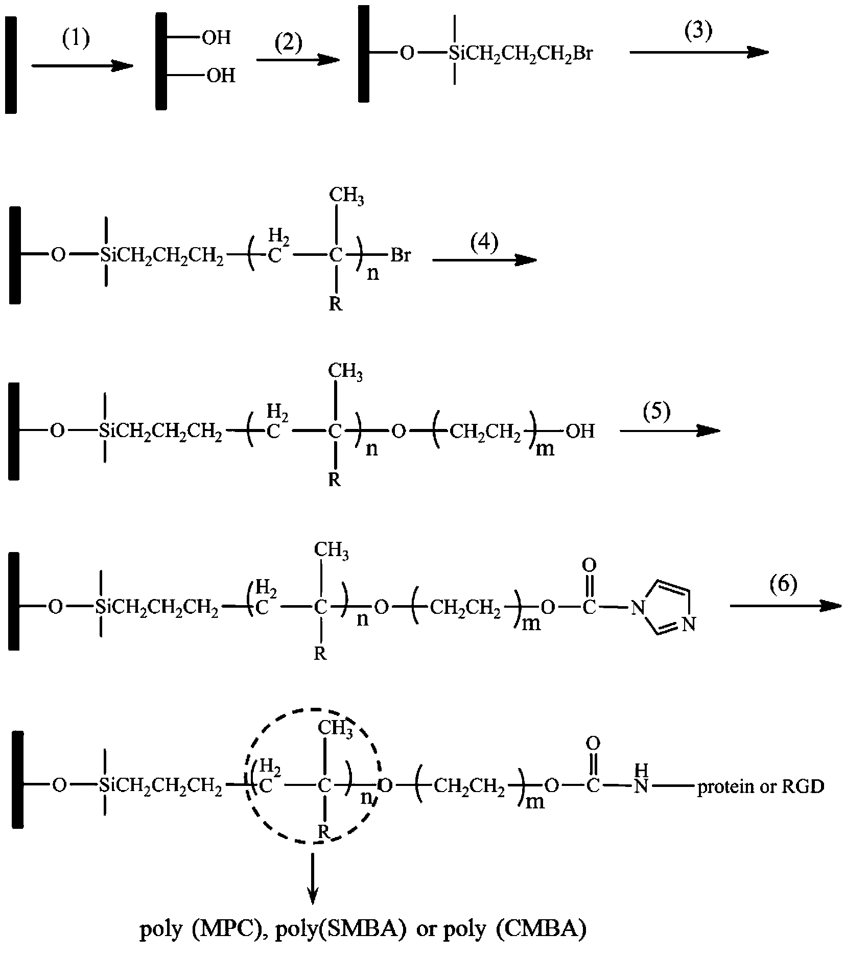 Method for performing surface treatment on material for boosting cell growth and resisting biological pollution