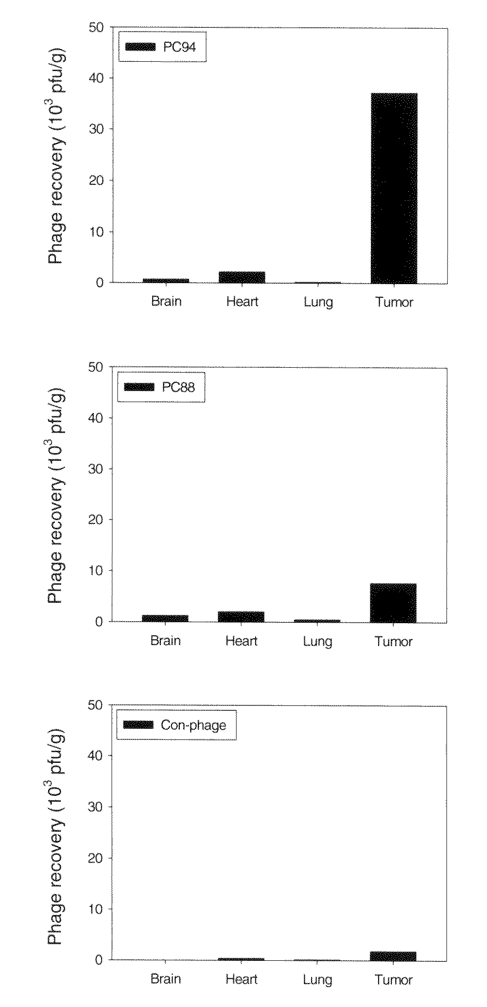 Peptides specific for hepatocellular carcinoma cells and applications thereof