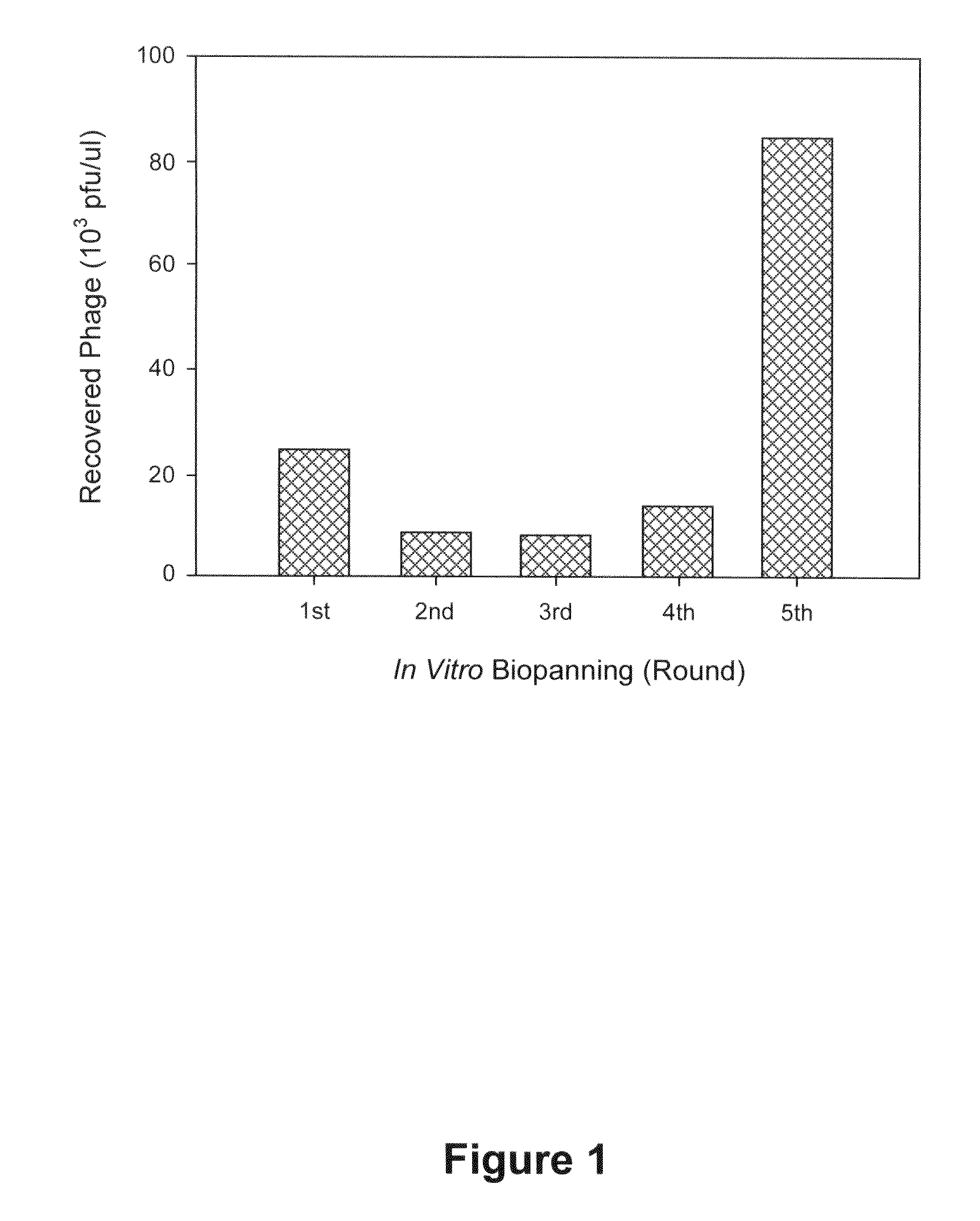 Peptides specific for hepatocellular carcinoma cells and applications thereof