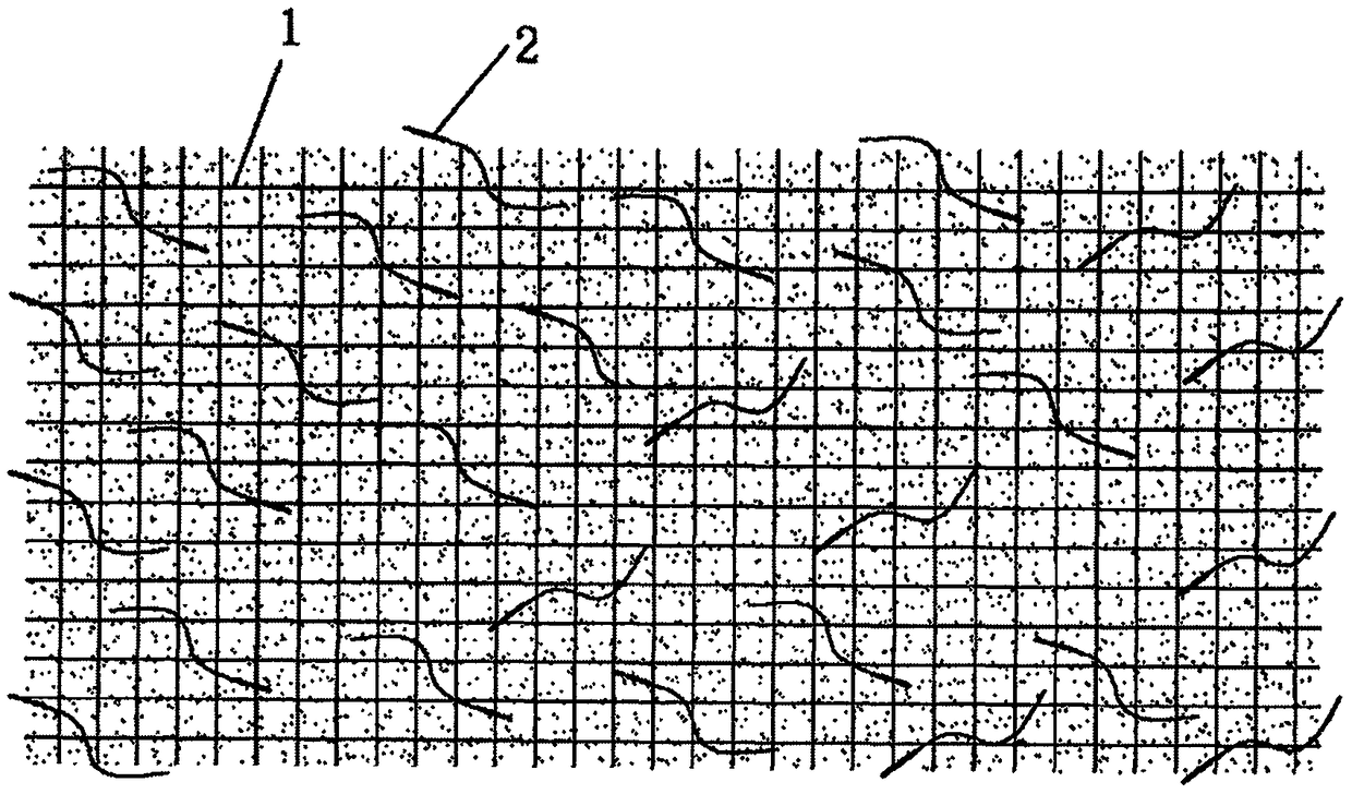 Manufacturing method of Stipa plant seed roll and seed roll spreading and sowing method