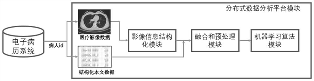 A Medical Data Analysis System Fused with Structured Image Data