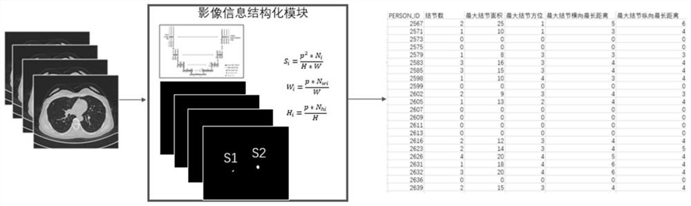 A Medical Data Analysis System Fused with Structured Image Data